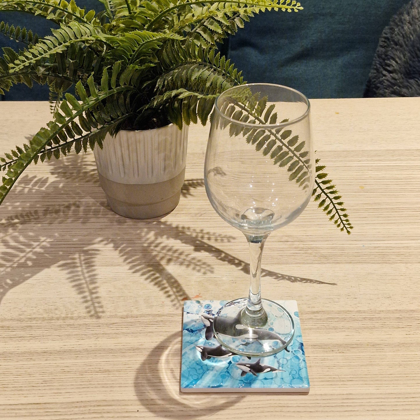43-C Orca Coaster
