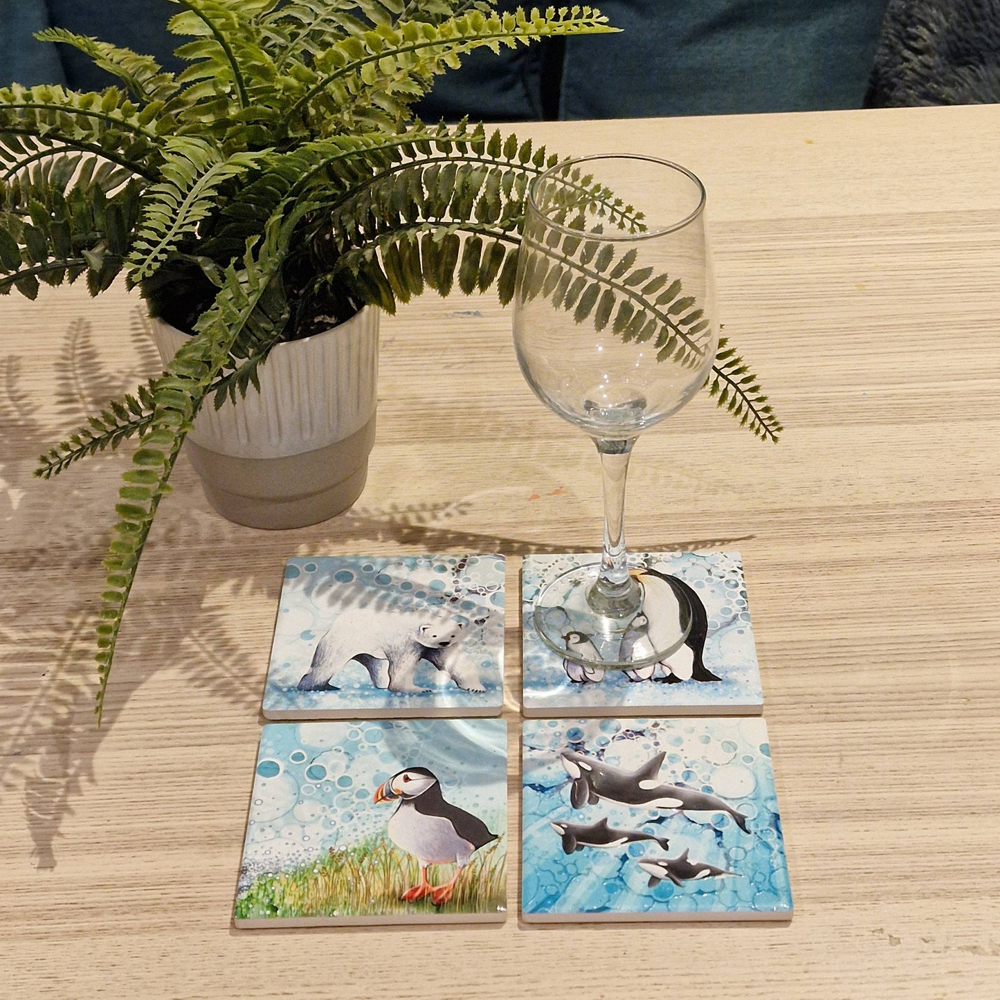 43-C Orca Coaster