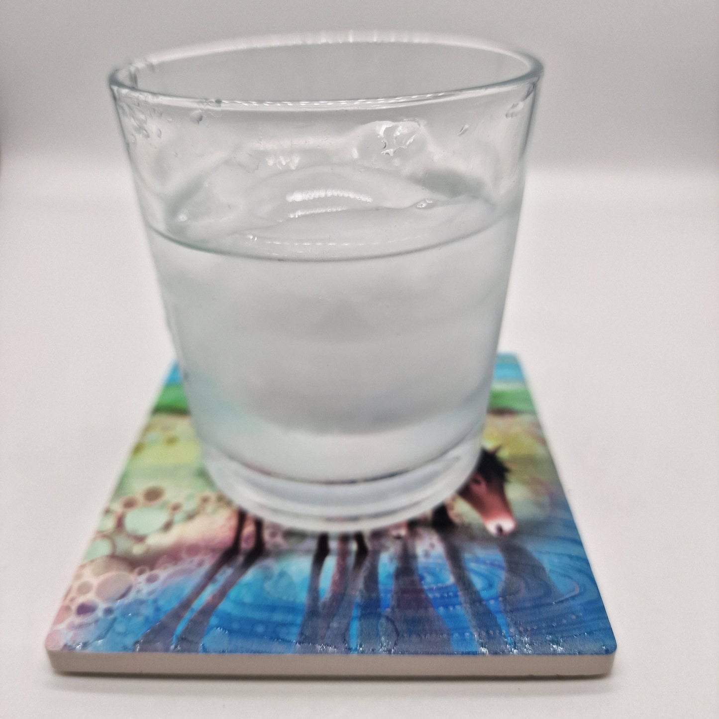 05-C - Horse Coaster