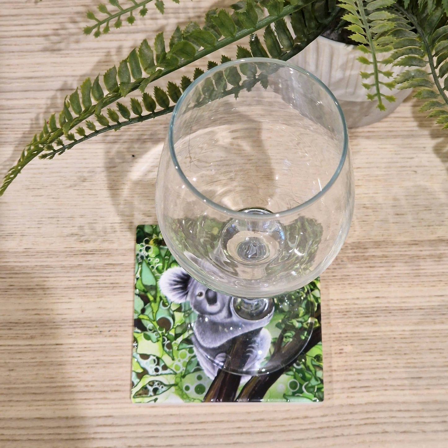 38-C Koala Coaster