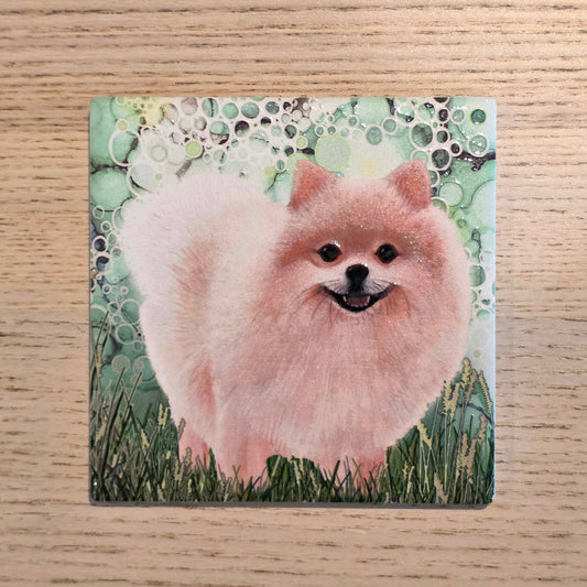 Pomeranian Dog Ceramic Coaster