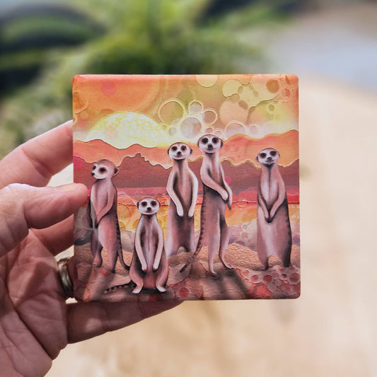 35-C Meerkats Coaster
