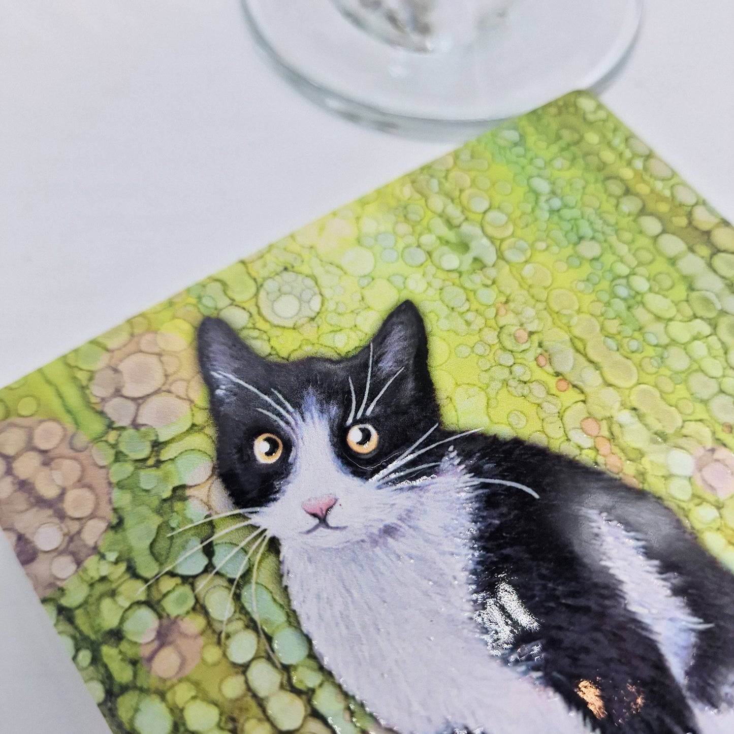 103-C Black & White Cat Coaster