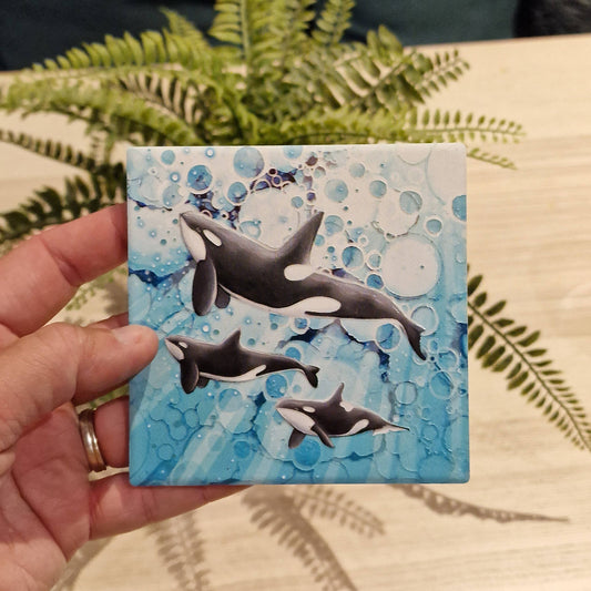 43-C Orca Coaster
