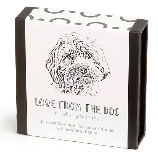 Love from the Dog – Cockapoo