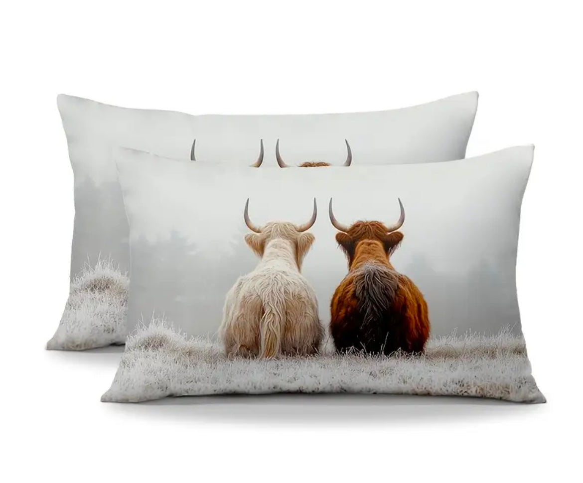 Highland Cows Cushion 30 x 50