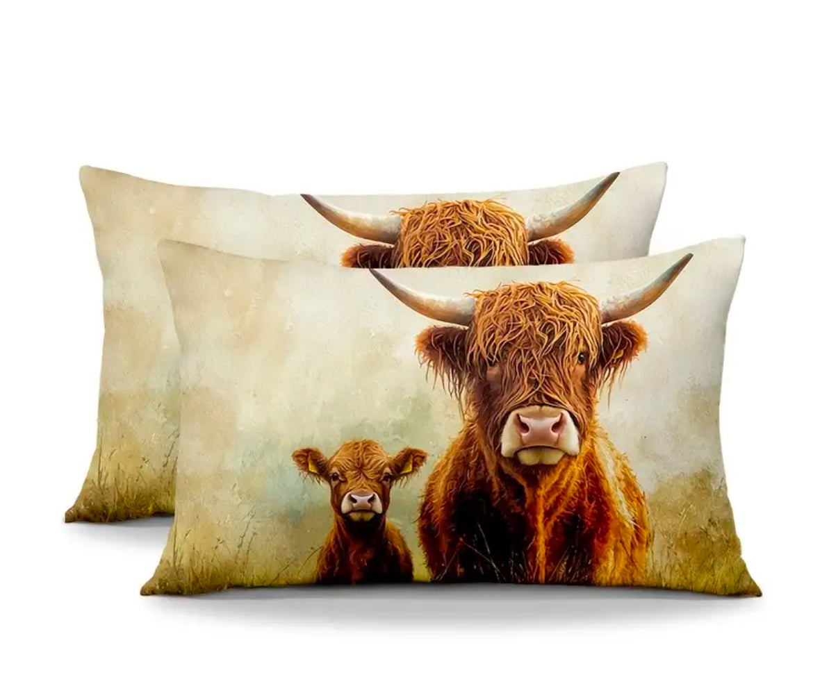 Highland Cow Cushion 30 x 50