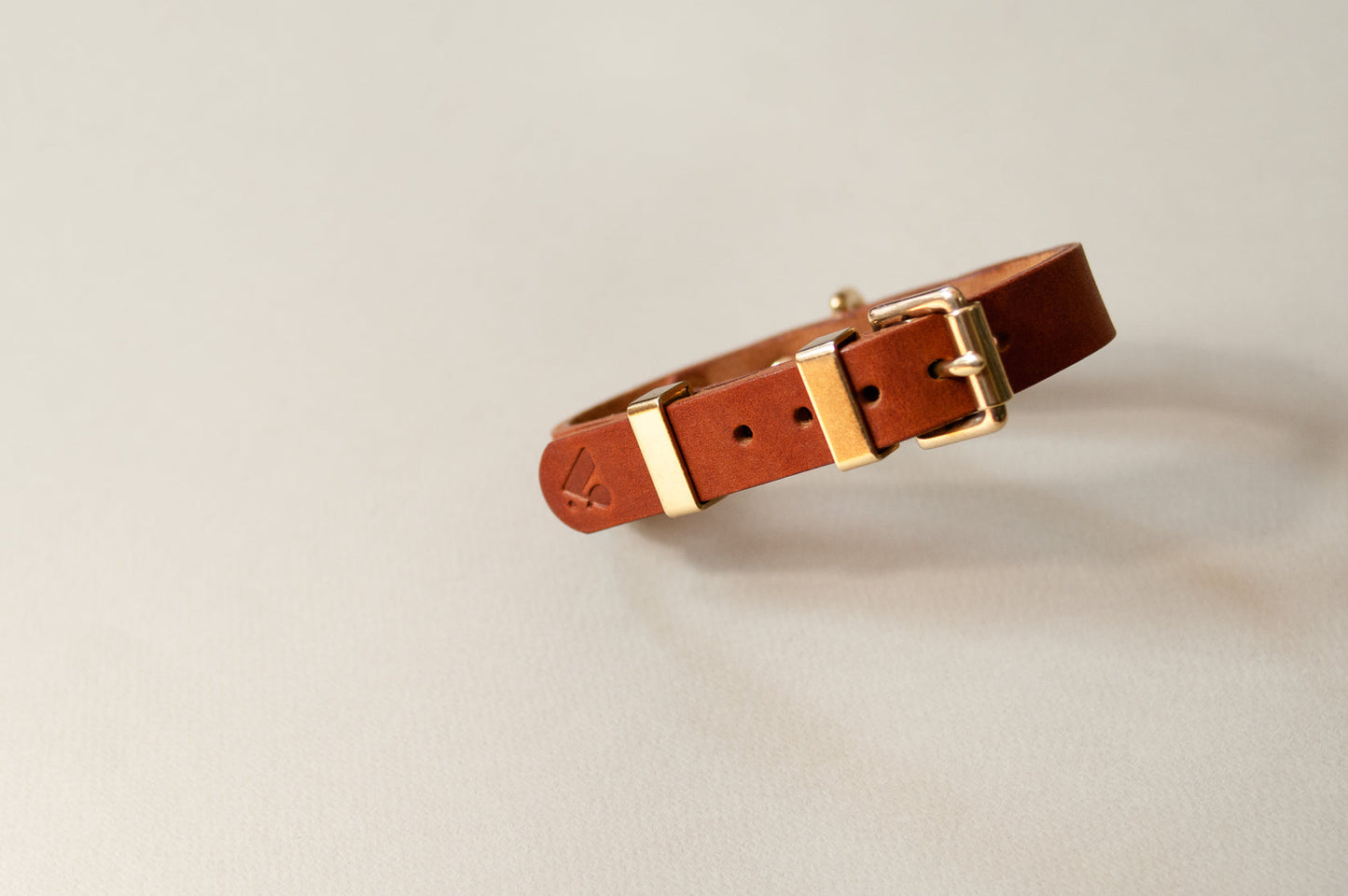 Monotone Leather Collar