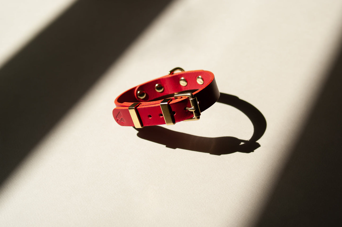 Monotone Leather Collar