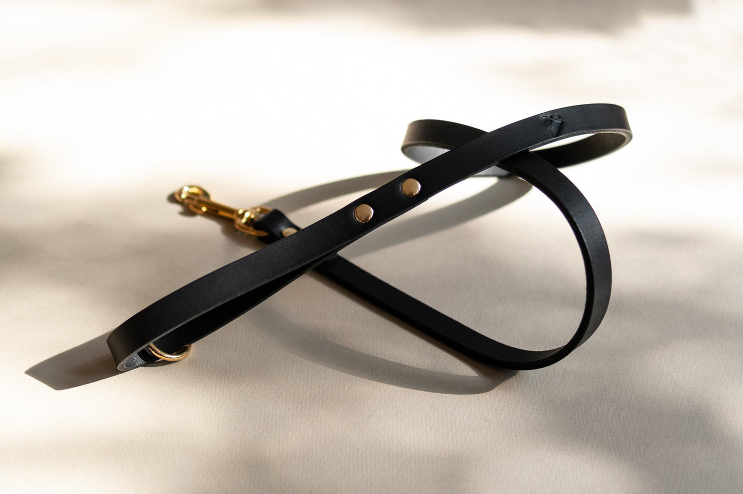 Classic Leather Lead