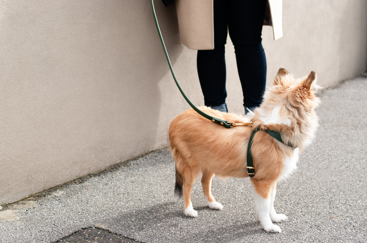 Classic Leather Lead