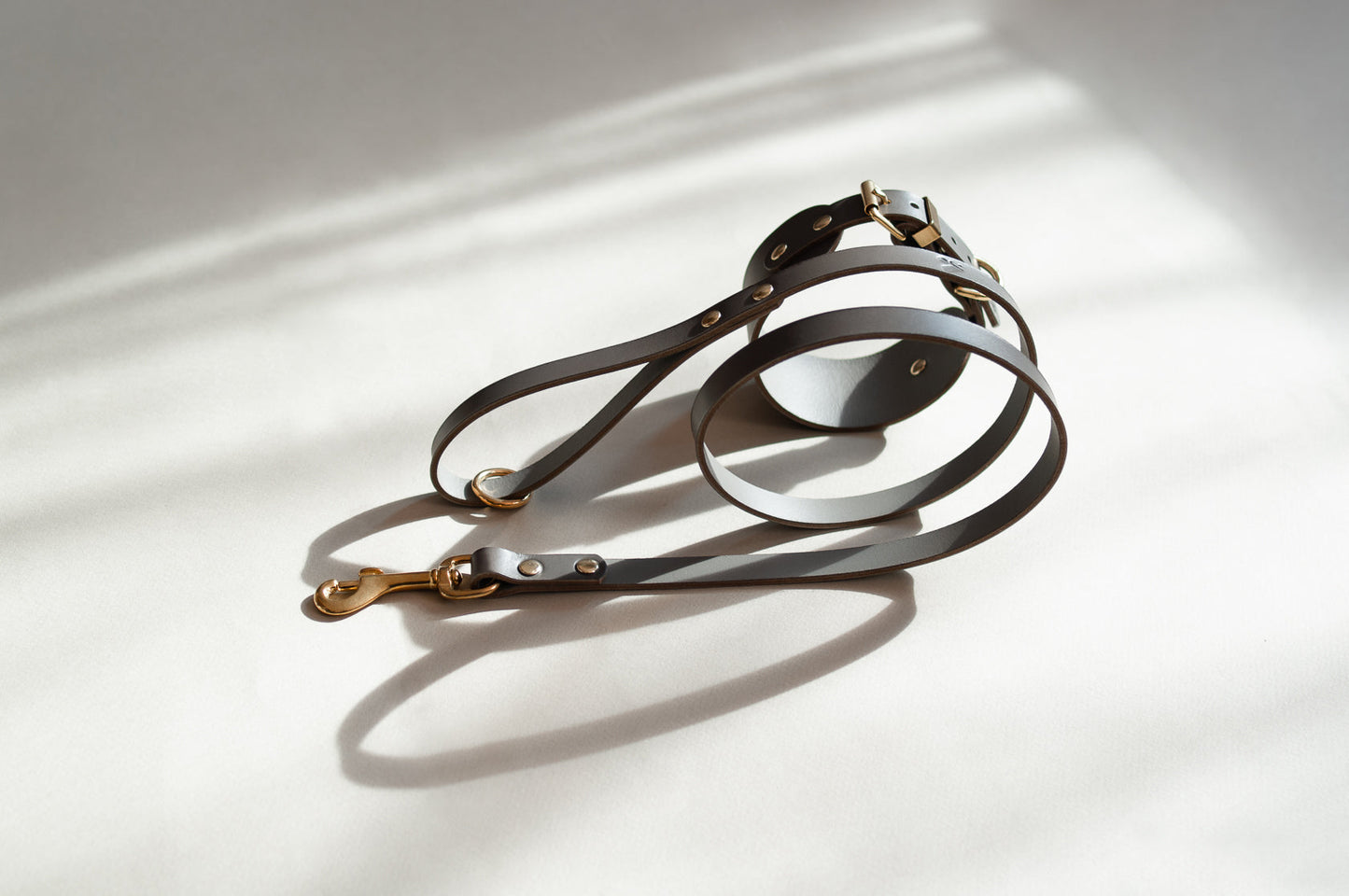 Classic Leather Lead