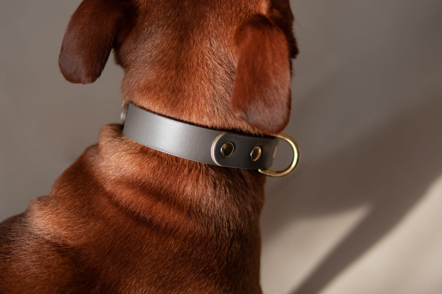 Monotone Leather Collar