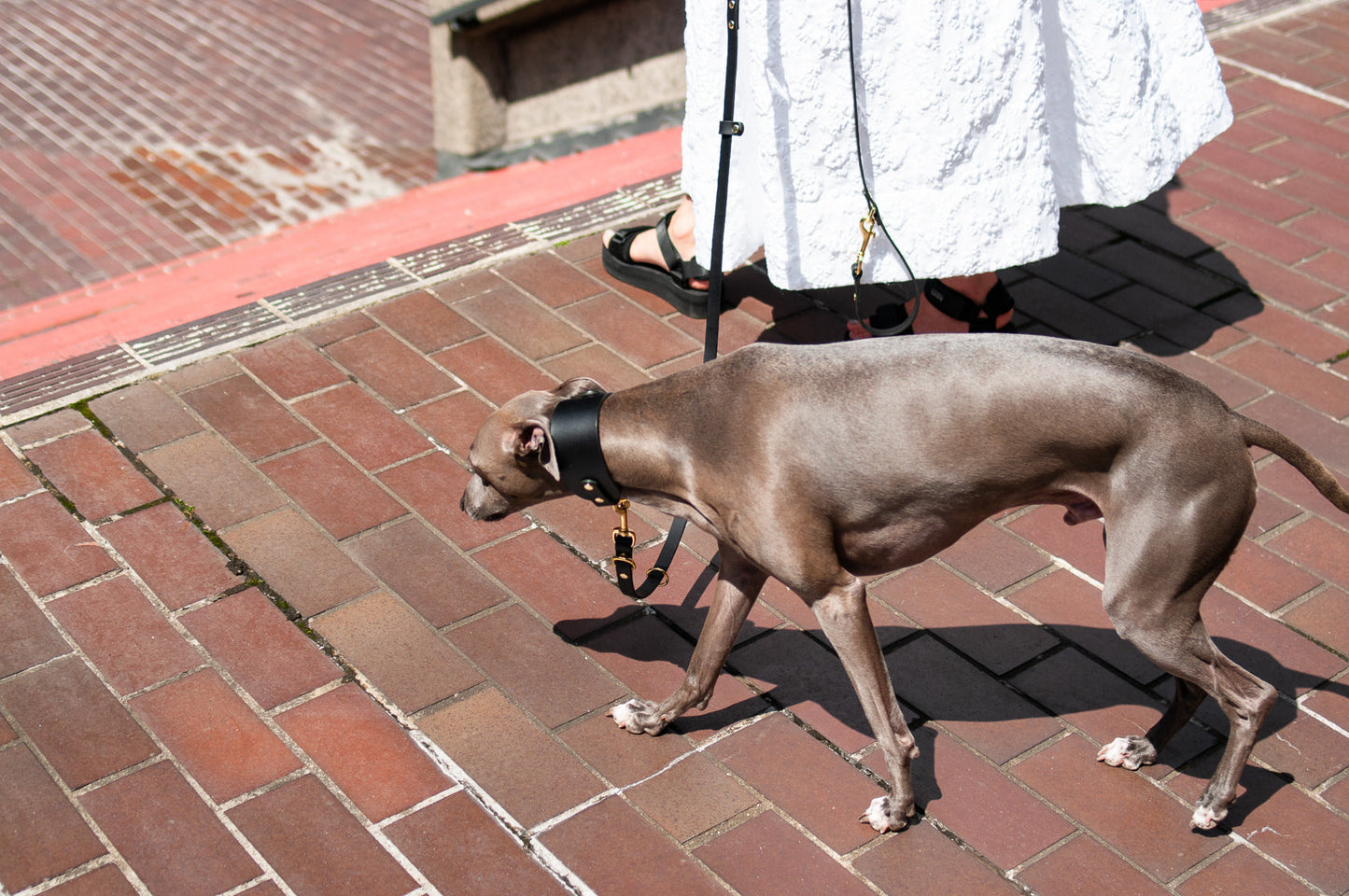 Hound Leather Collar