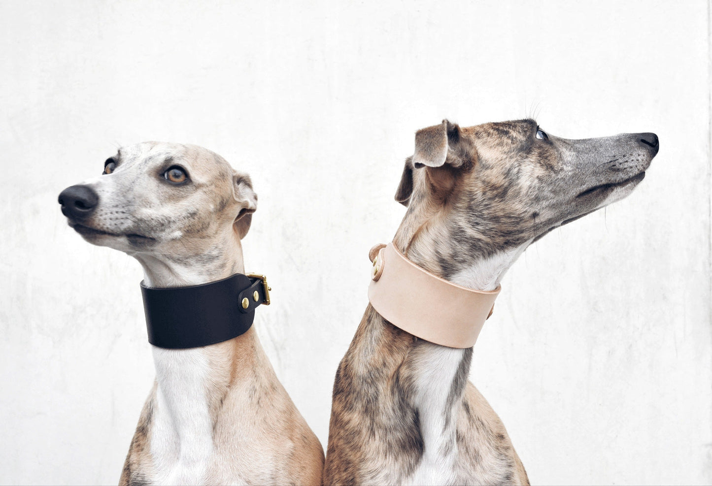 Hound Leather Collar