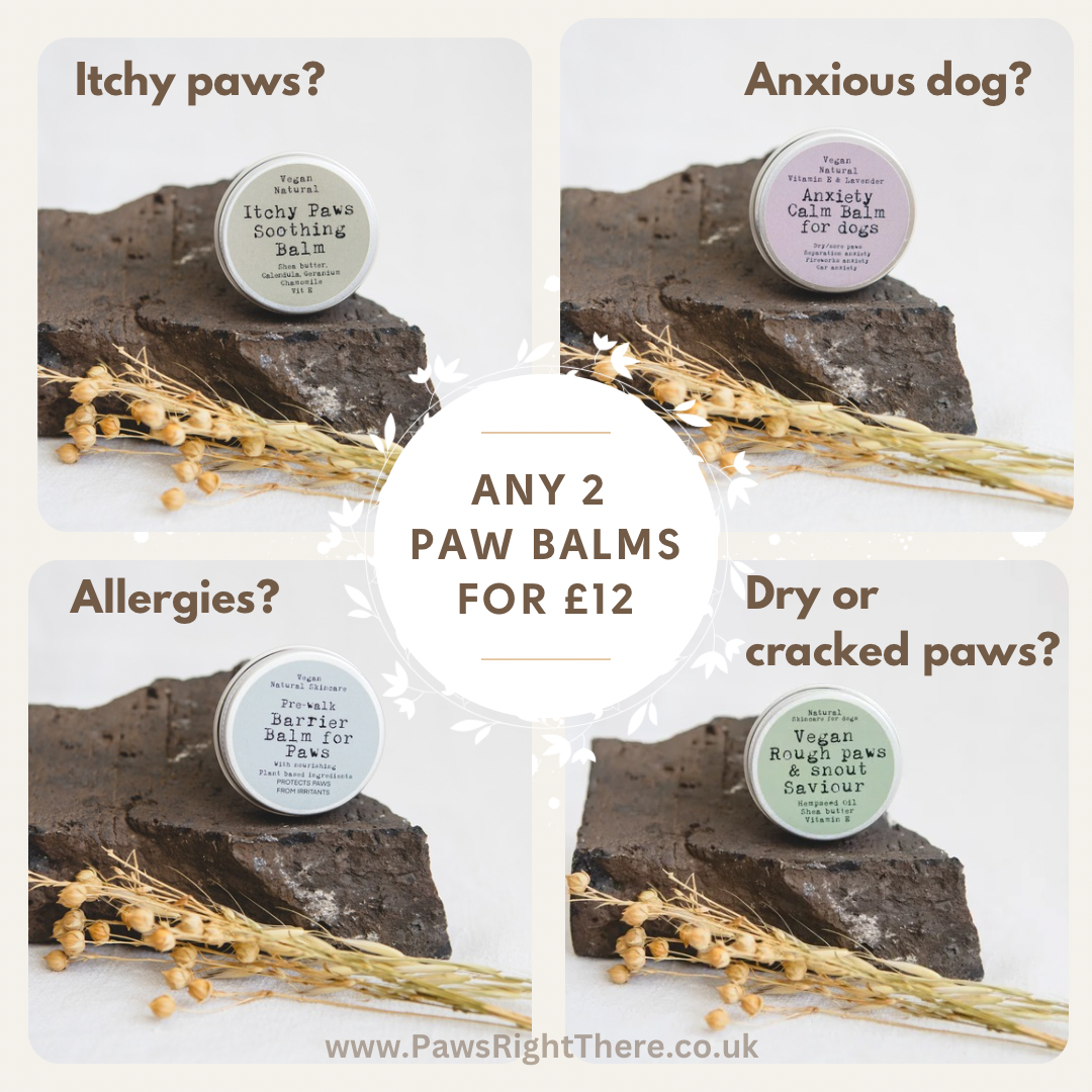 Itchy Paw Balm - Soothing