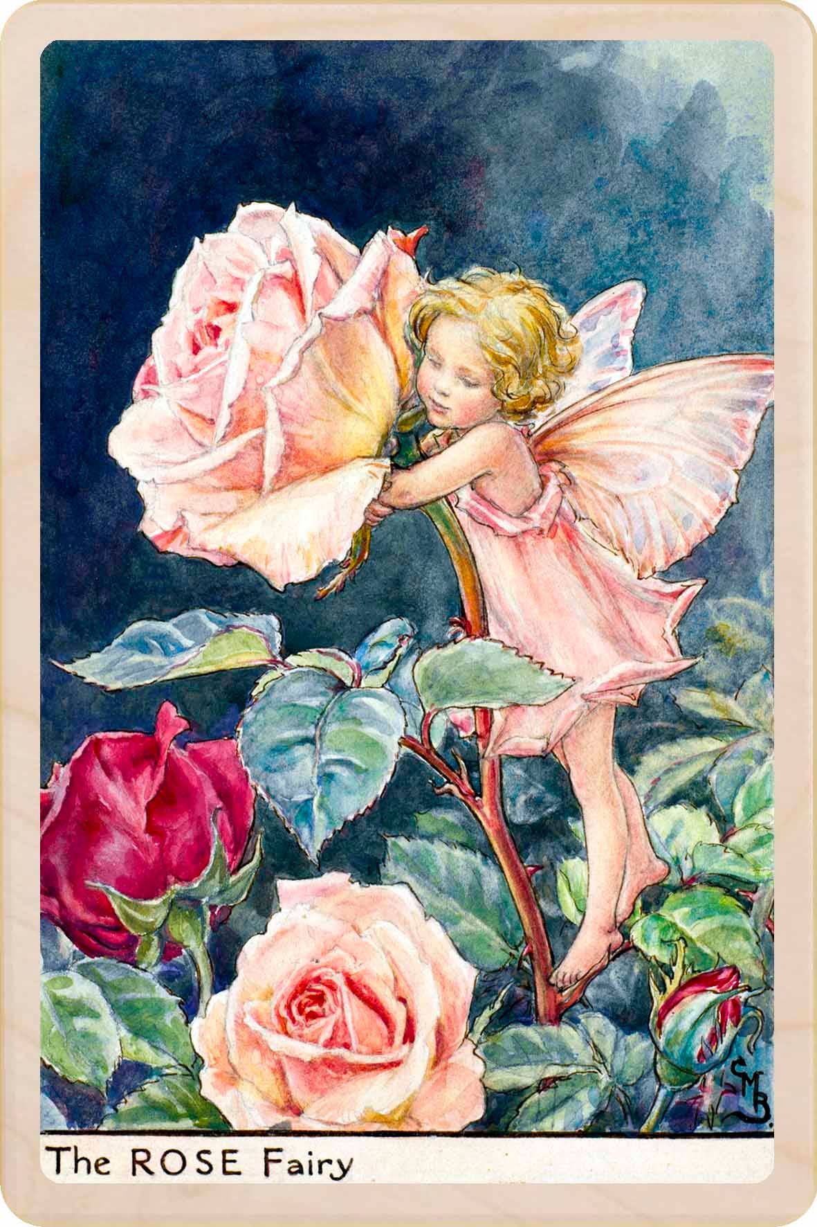 Rose Fairy - Eco-friendly cards