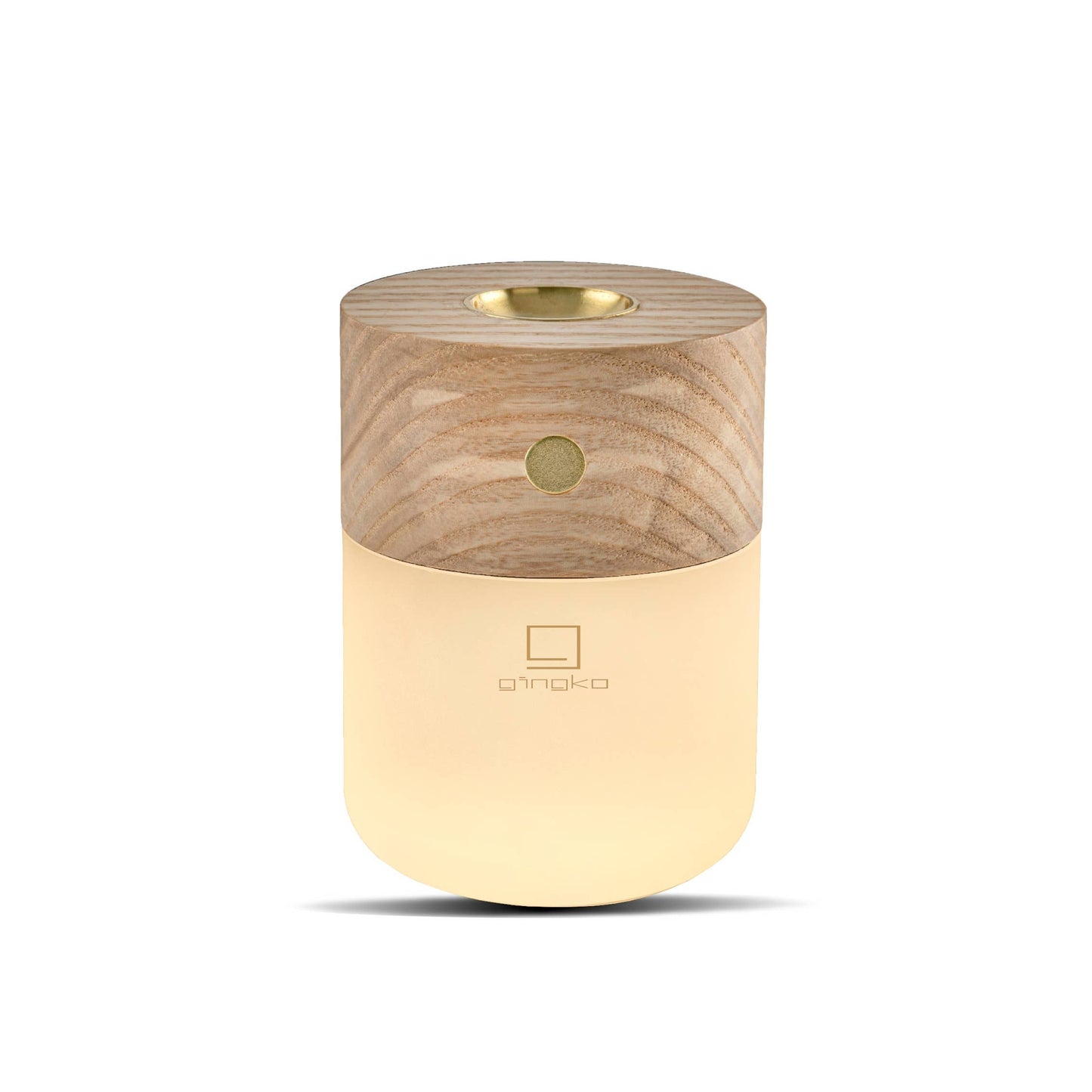 Smart Diffuser Lamp