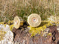 Upcycled shotgun cartridge cufflinks