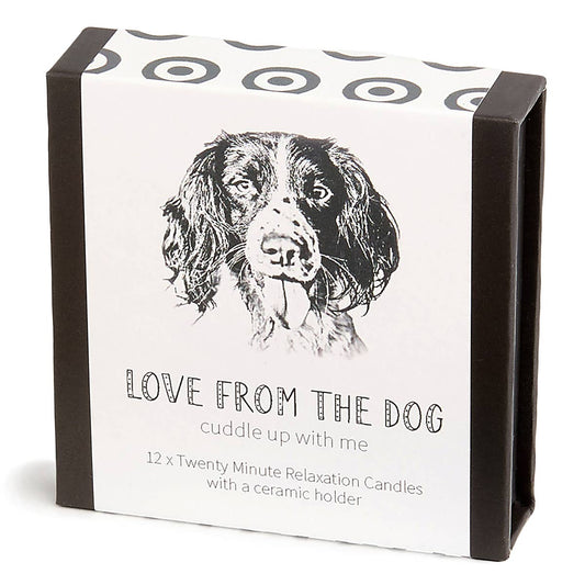 Love from the Dog – Springer Spaniel