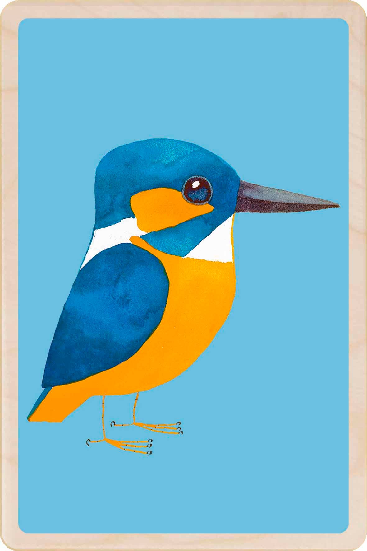 Kingfisher - Eco-friendly cards