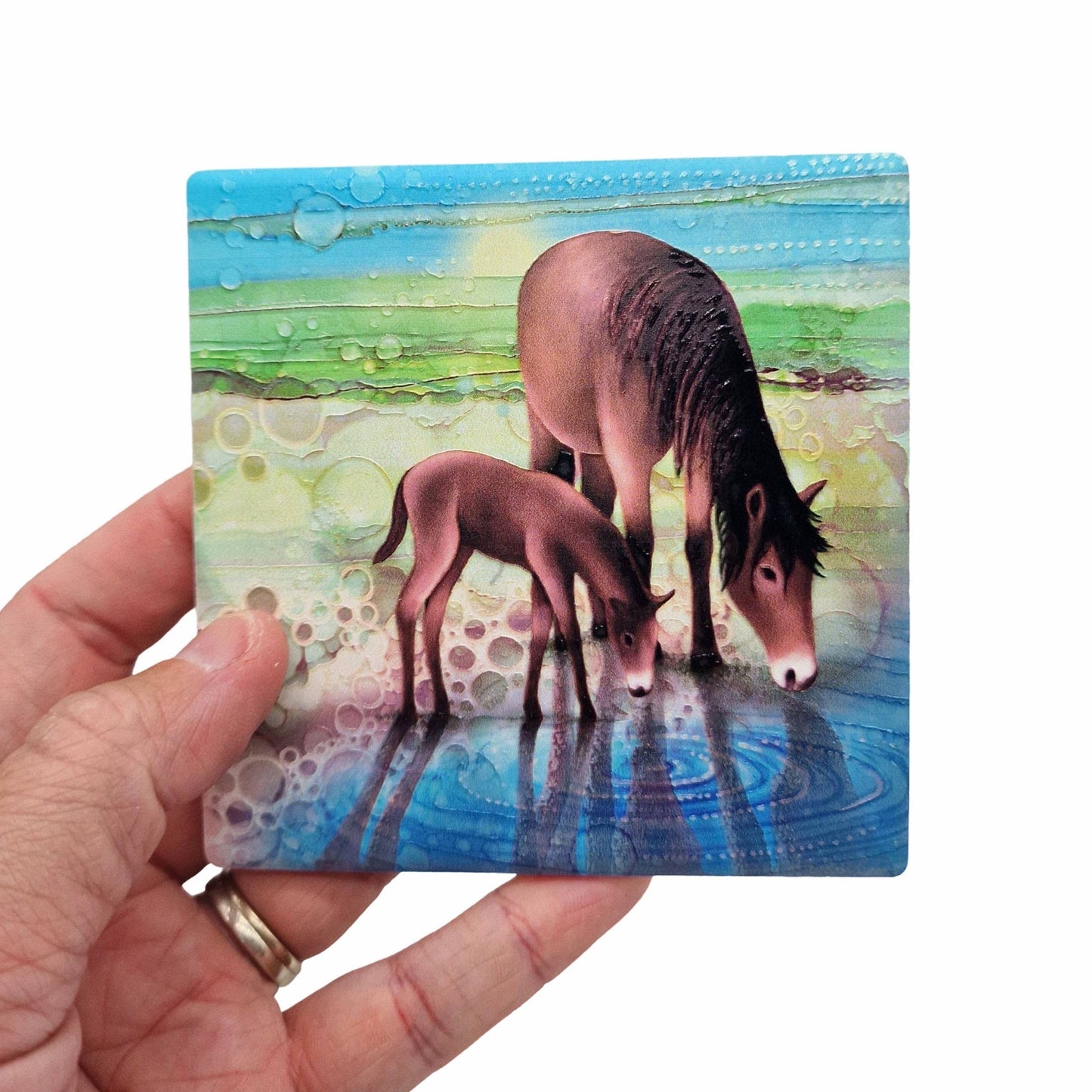 05-C - Horse Coaster