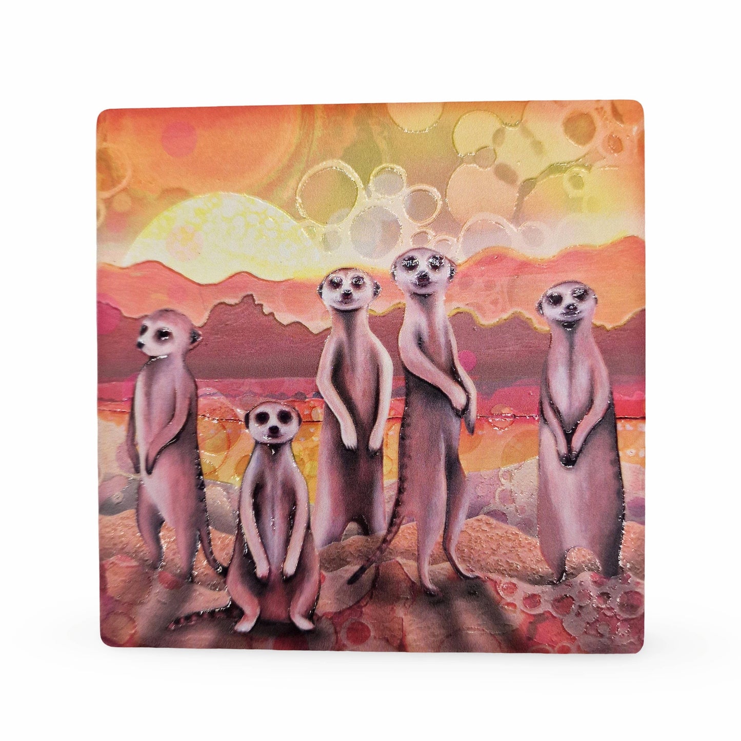 35-C Meerkats Coaster