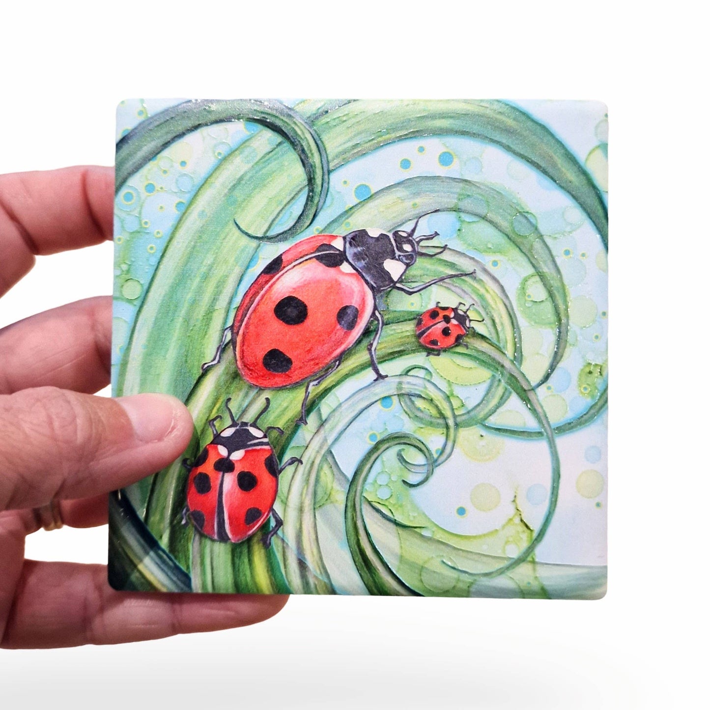 188-C  Ladybird Coaster