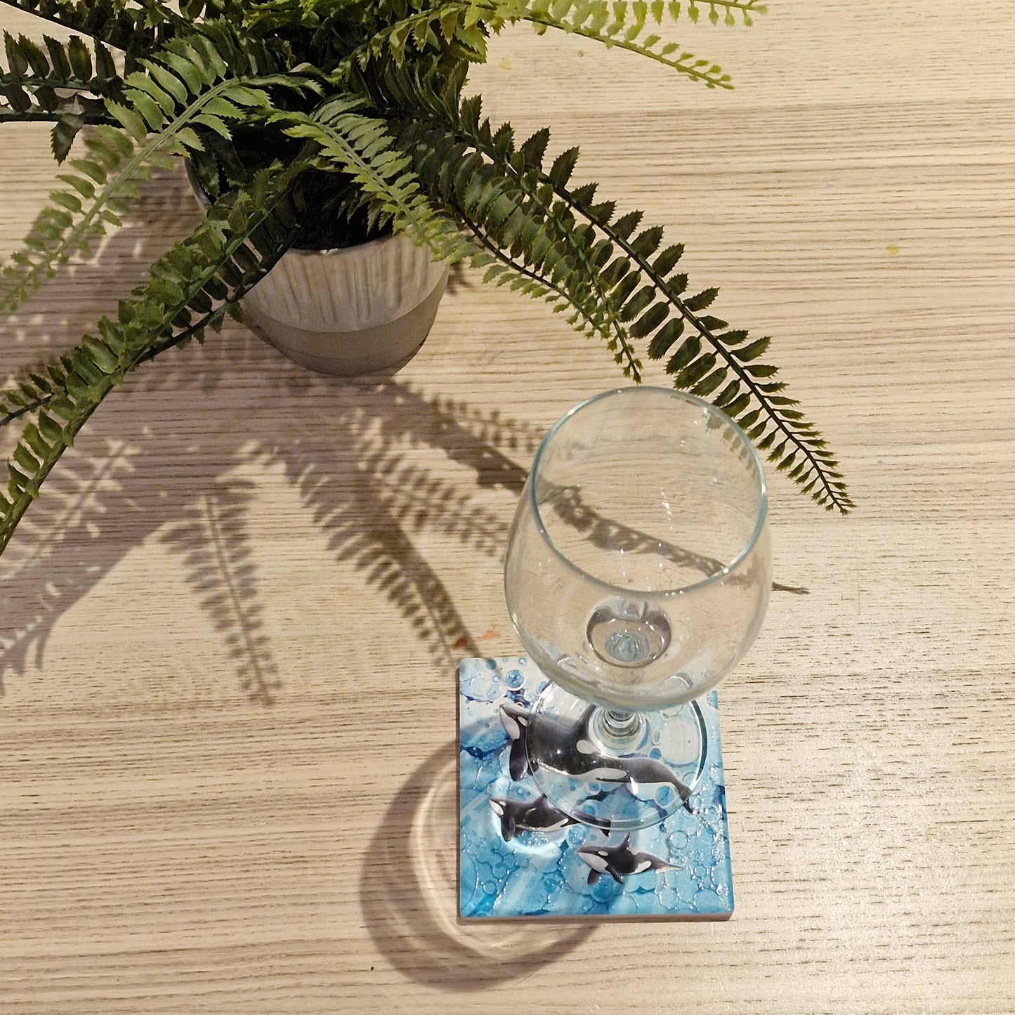 43-C Orca Coaster