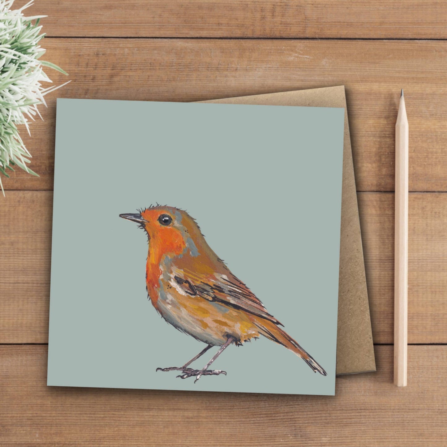 Robin Card | Eco | Recycled | Bird | Blank
