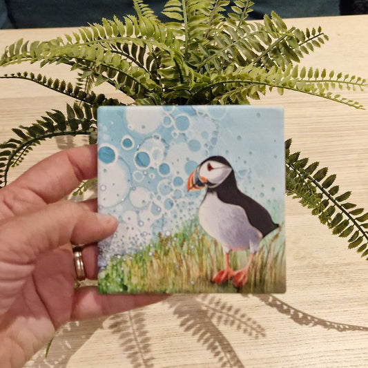 42-C Puffin Coaster