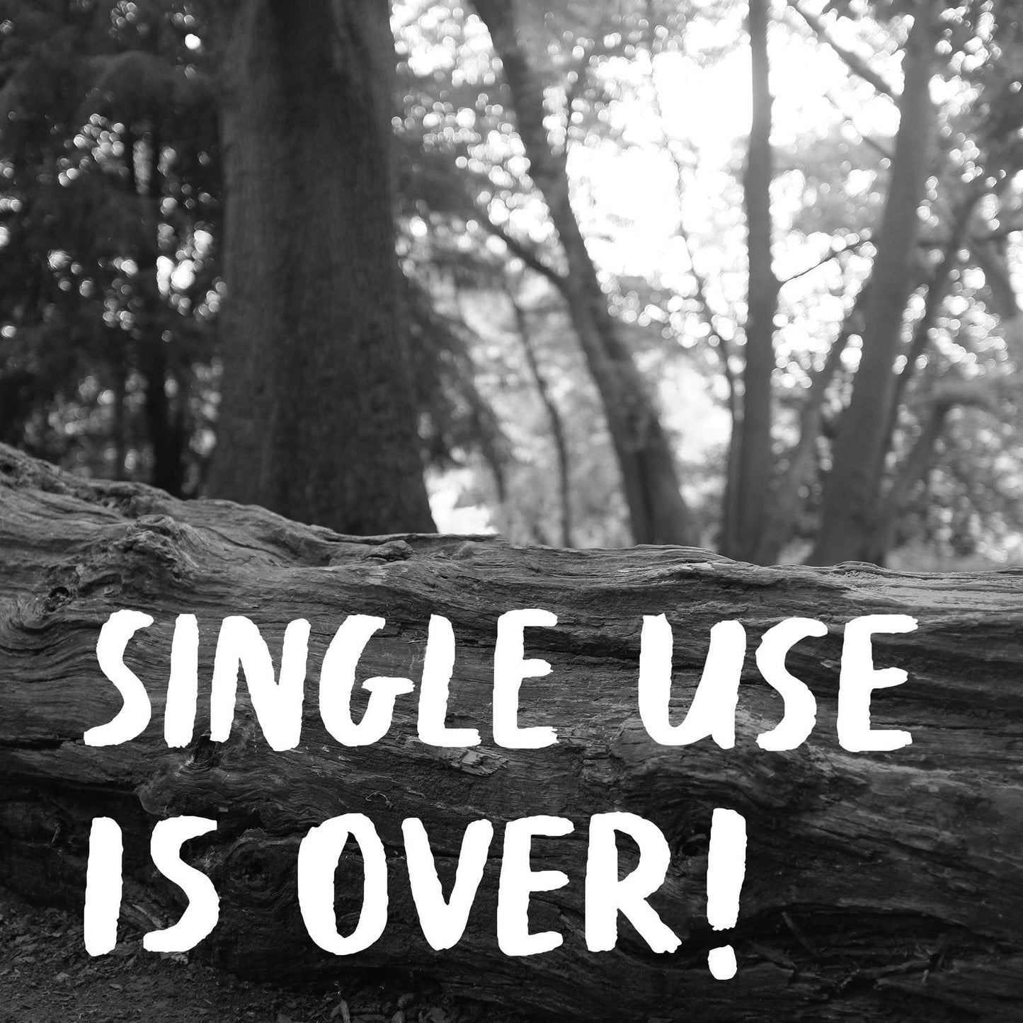 Wish You Wash Here - Plastic free travel essentials kit