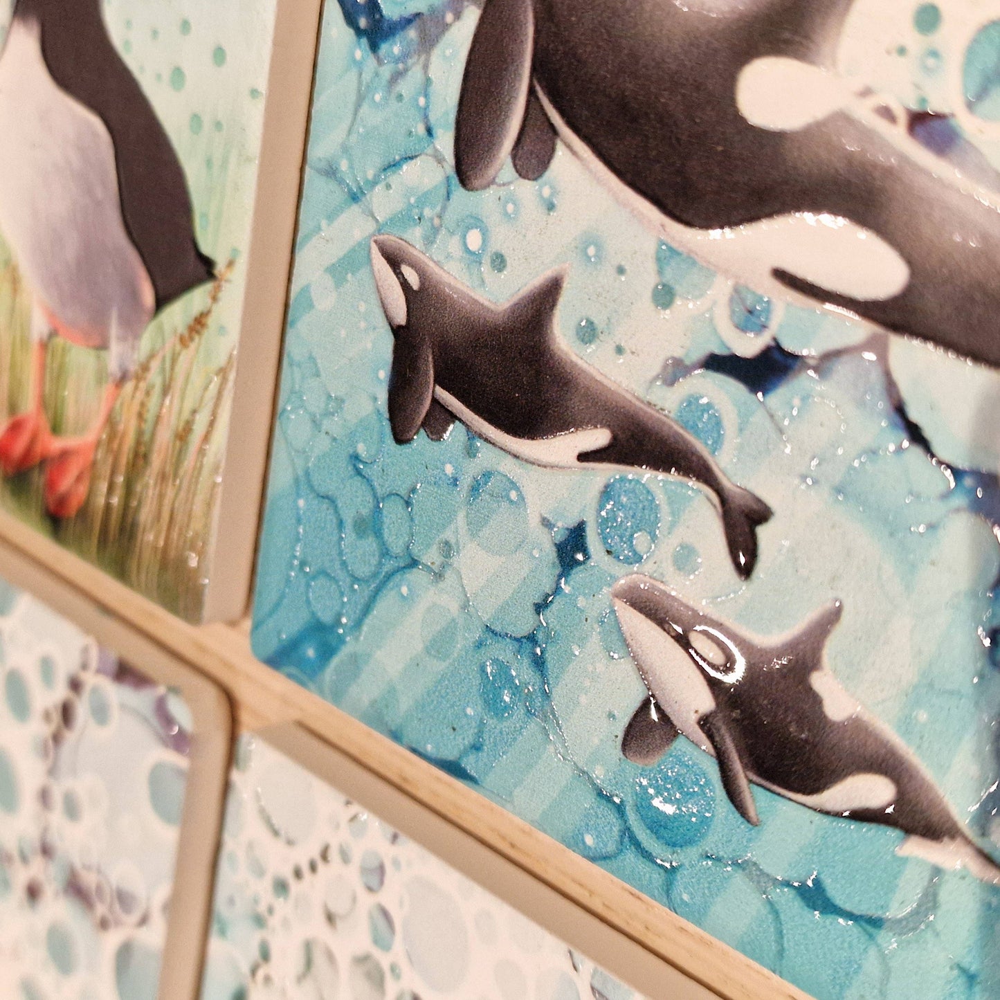 43-C Orca Coaster
