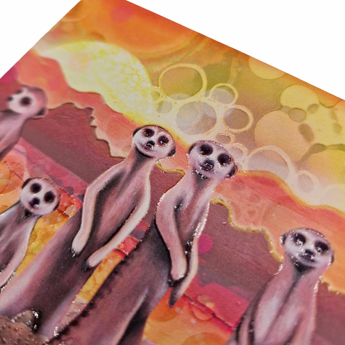 35-C Meerkats Coaster