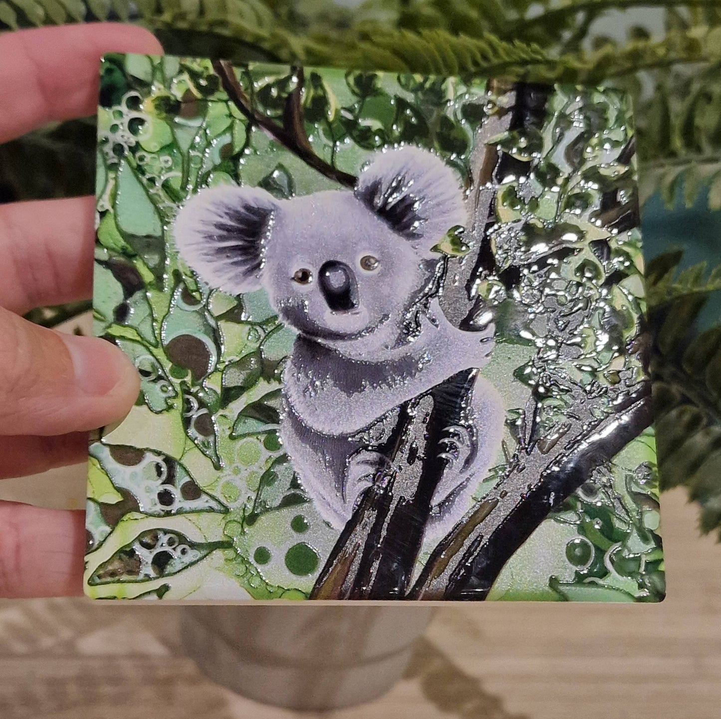 38-C Koala Coaster