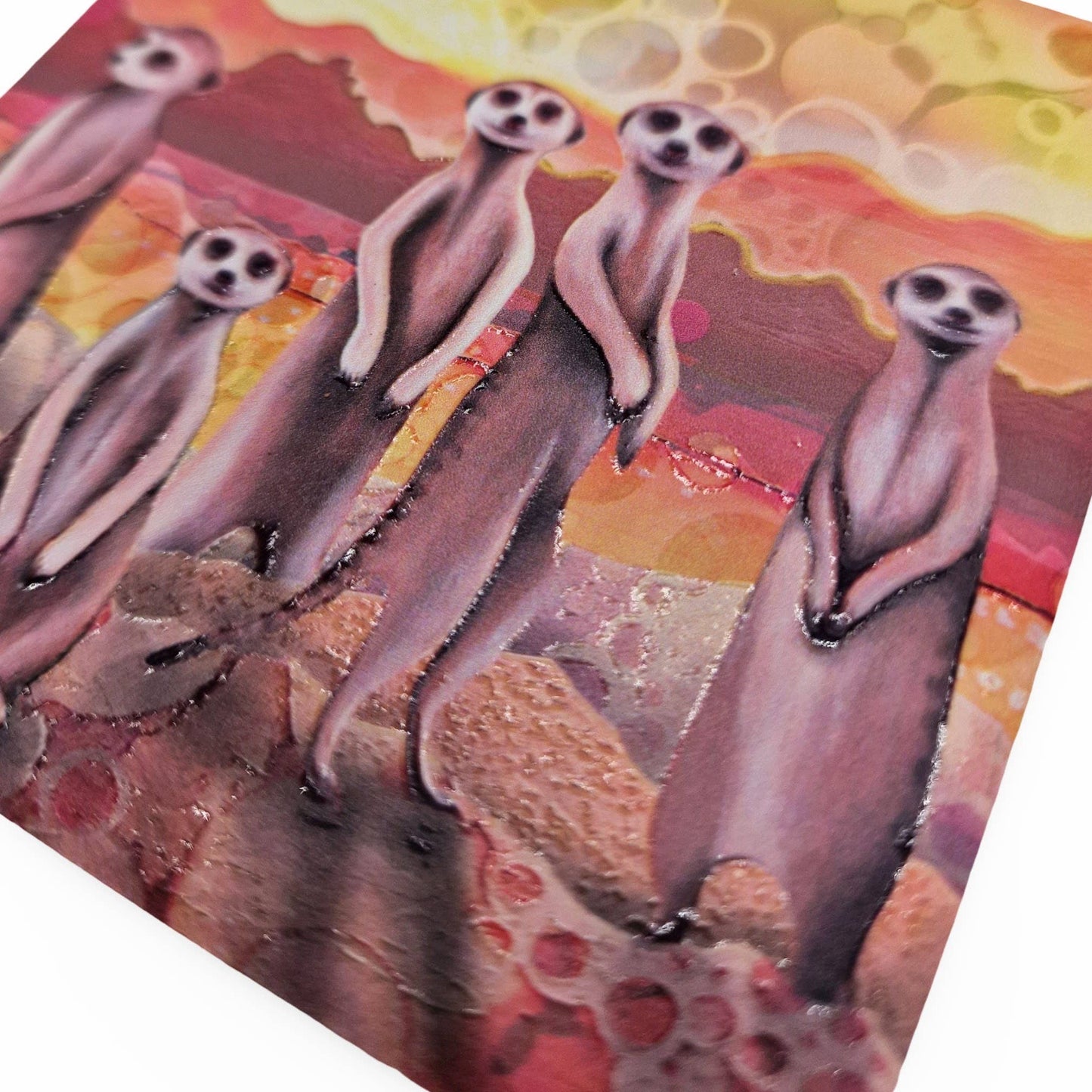 35-C Meerkats Coaster