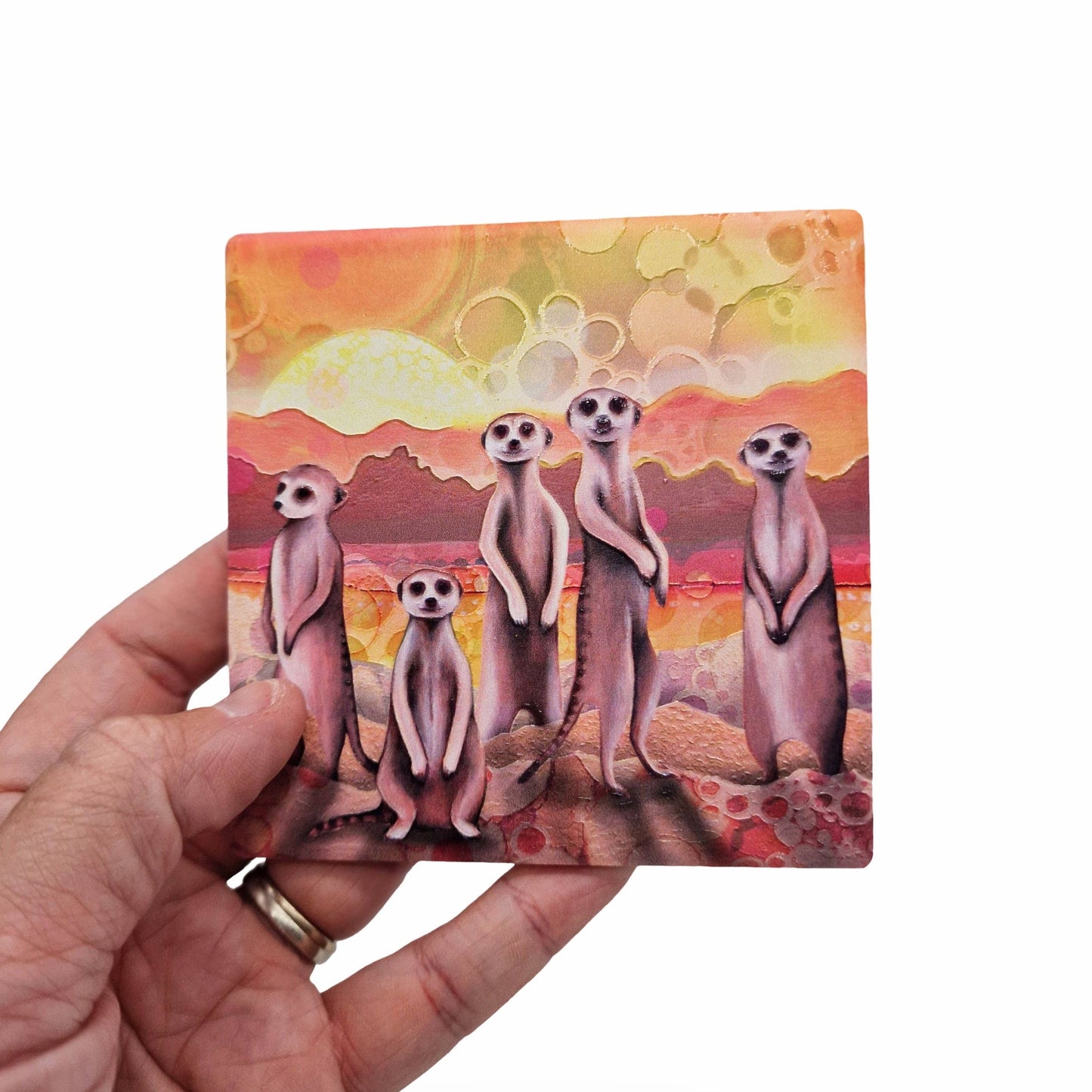 35-C Meerkats Coaster