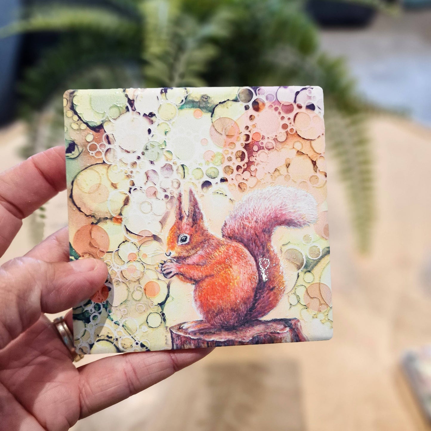 189-C  Squirrel Coaster