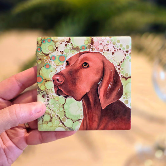 226-C Fox Red Vizsla Coaster