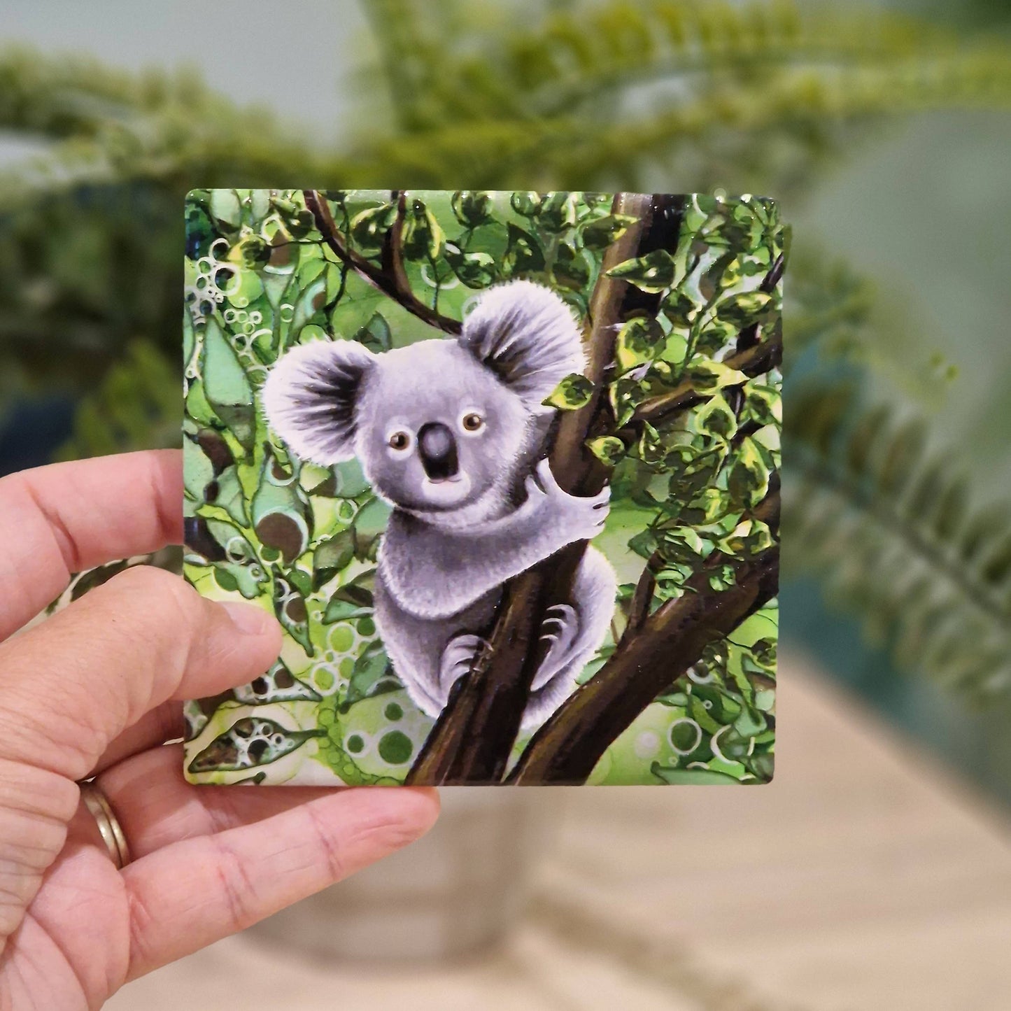38-C Koala Coaster