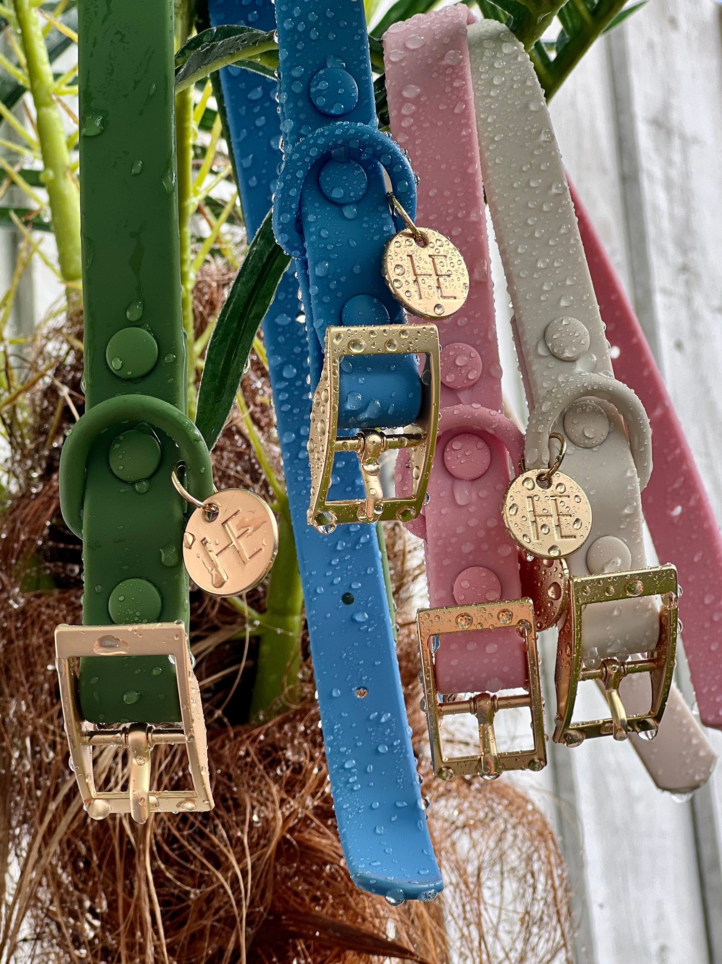 Forest Green 'All Weather' Dog Collar